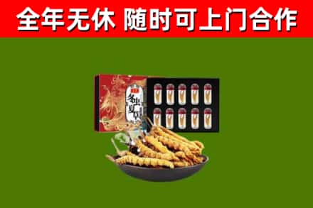 钟祥烟酒回收冬虫夏草礼盒.jpg
